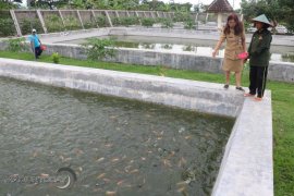 BBI Kota Madiun Produksi 298.000 Bibit Ikan