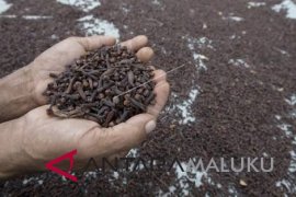 Mengembangkan Ternate jadi destinasi wisata rempah-rempah  oleh La Ode Aminuddin