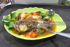 Iwak Kutuk Bu Edy White di Jember Maknyuss (Video)