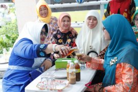 Dekranasda Jabar Tinjau  "Kampung Pejabat" Banjarbaru