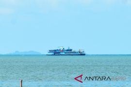 Aktivis minta pemprov jangan "obral" izin tambang