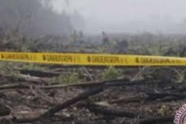 Kebakaran Lahan Masyarakat dan PT NSP di Meranti Diselidiki, Garis Polisi Dipasang di sini
