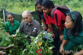 Peneliti Jepang kembangkan bibit kedelai di Jayapura