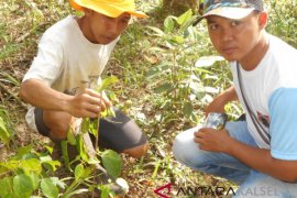 FKH Balangan Ingin Miliki Kebun Tanaman Obat