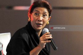 Indonesia Bans Baby Lobster Exports for Sustaiability