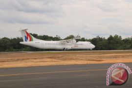 InJourney luncurkan Pelita Air tahun ini