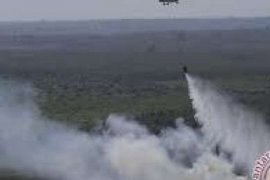 Sudah 549 Hektare Lahan Terbakar, Riau Tetapkan Status Siaga Darurat Karlahut