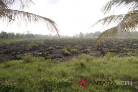 Kejaksaan ancam DPO terpidana pembakaran lahan PT SPS