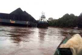 Nelayan merugi, akibat tongkang batubara kandas di Teluk Siwak