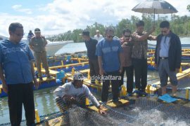 Putus Jalur ke Tawau, Pemprov Fasilitasi Ekspor ke Tiongkok