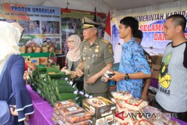 Plt Bupati HST Promosikan Produk UKM