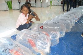 Potensi Ikan Koi Kediri Hingga Rp235 Miliar  (Video)