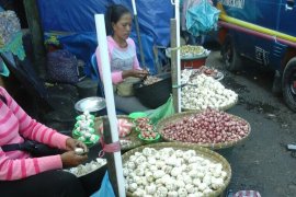 Harga bawang putih di pasar Ambon Rp20.000/Kg