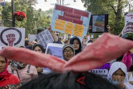 KPPPA galang partisipasi warga dalam upaya perlindungan perempuan