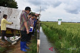 Pekalongan uji coba mina padi 28 hektare