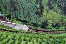 Wisatawan Diimbau Hormati Perayaan Nyepi di Gunung Bromo