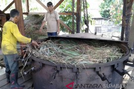 Peluang Indonesia jadi pemain utama bisnis minyak atsiri