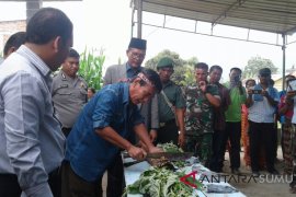 Kompos organik olahan parmalim jadi pilihan petani