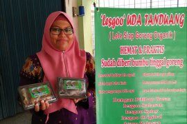 Mengenal rendang berbahan lele organik (video)