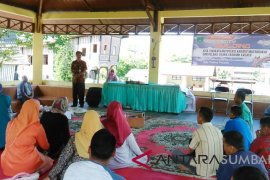 Padang Panjang tingkatkan kapasitas pelaku wisata-ekraf