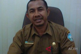 Aceh Selatan realisasikan padat karya sejak 2015