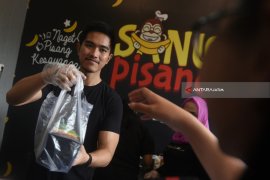 Kaesang Sang Pisang Surabaya