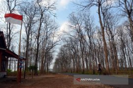 KPH Bojonegoro Wakili Jatim Audit PHPL