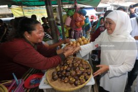 Khofifah Serukan Gerakan Tanam Cabai