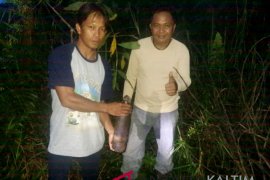 Warga Penajam temukan mortir bekas perang