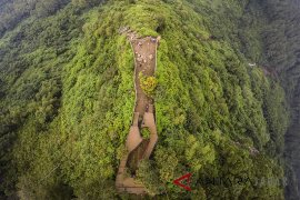 Akademisi: Ekologi politik harus punya etika dan moral