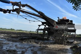 OPD Situbondo Perlu Sinergi Untuk Perluasan Areal Tanam