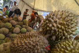 Pesta Durian