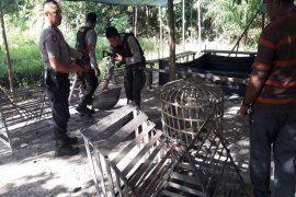 Polisi gerebek judi sabung ayam di Jalan Karanggan