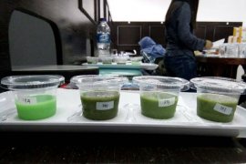 Yuk cicipi puding torbangun buatan mahasiswa IPB