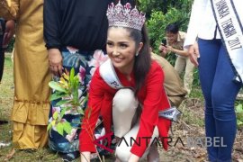 Puteri Indonesia 2018 tanam bibit pelawan di Namang (Video)