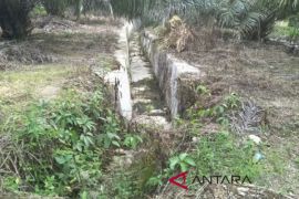 Irigasi tidak bisa difungsikan di Aceh Selatan