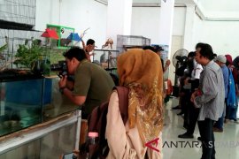 Begini cara komunitas kenalkan reptilia kepada masyarakat (video)