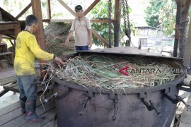 Wanginya minyak atsiri membuat petani di Solok berseri