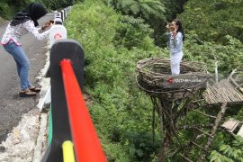 Wisata Swafoto Jembatan Jomblo