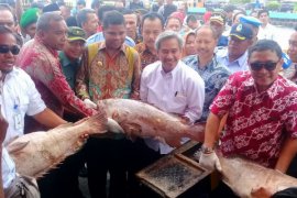 Dirjen: Tual lumbung ikan yang luar biasa