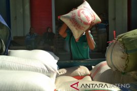 Musim panen usai, harga beras di Kudus mulai naik