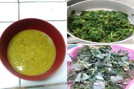 Peneliti IPB racik sup labu kuning plus torbangun kaya serat