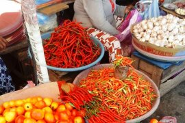 Harga cabai di pasar tradisional Ambon turun memasuki Ramadhan