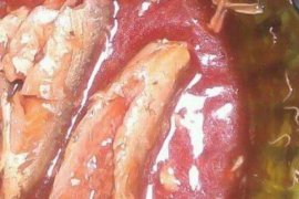 Cacing Pita Ditemukan Dalam Kaleng Ikan Mackerel, BBPOM Pekanbaru Selidiki Importirnya di Batam