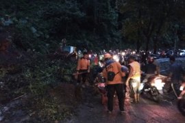 Longsor di Gunung Gumitir, Arus Kendaraan Macet Total