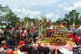 Destinasi Wisata Festival dan Sedekah Bumi Durian di Sumberjambe Jember (Video)