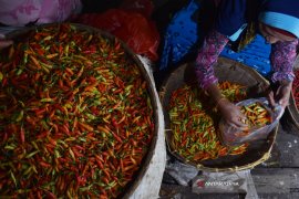 Harga Cabai Rawit di Madiun Masih Tinggi