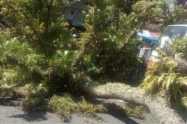 Ormas Ganaspati libatkan kampus mantapkan wawasan kebangsaan