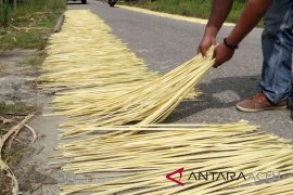 Pucuk nipah Singkil dipasarkan ke Sumut