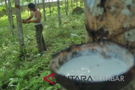 Pelatihan teknis diberikan untuk 30 petani karet di Jambi